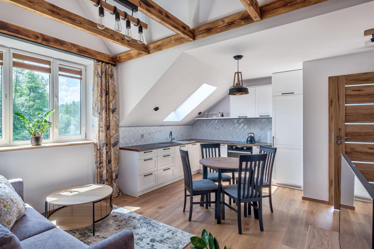 Brzozowy Zakatek-Brzozowa Bania Apartment ทิโคชิน ภายนอก รูปภาพ